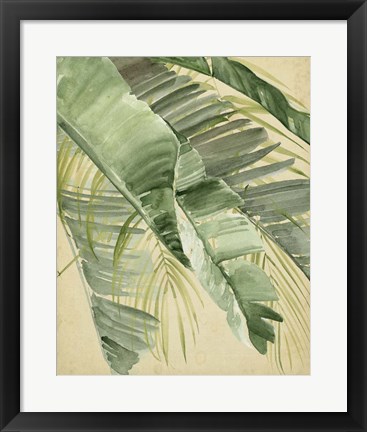 Framed Banana Palms I Print