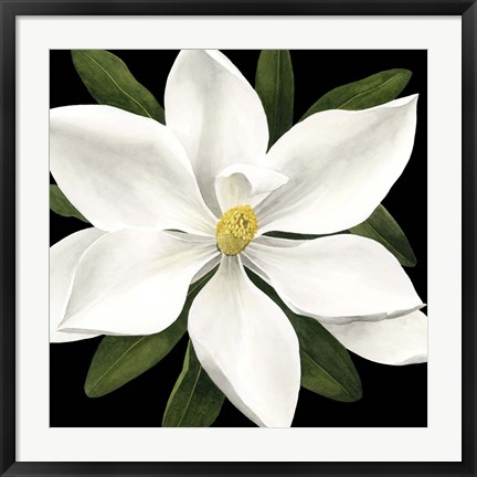 Framed Midnight Magnolia I Print