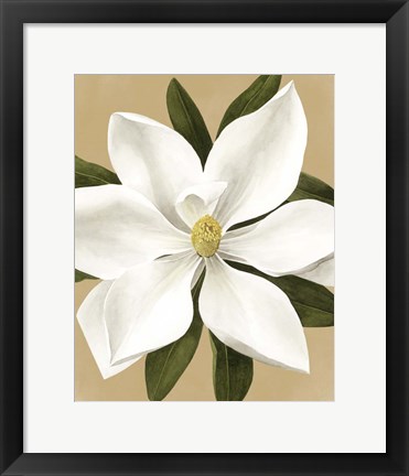 Framed Magnolia on Gold II Print