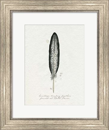 Framed Found Feather II Print