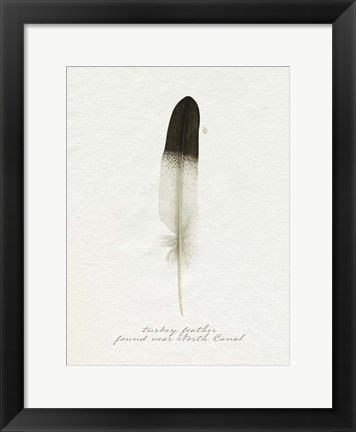 Framed Found Feather IV Print