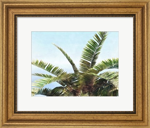 Framed Pleasant Palms I Print
