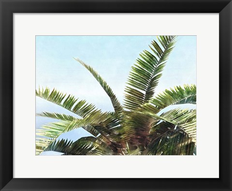 Framed Pleasant Palms I Print