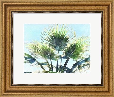 Framed Pleasant Palms II Print