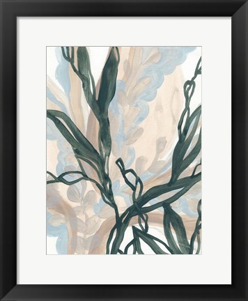 Framed Seaweed Drift I Print