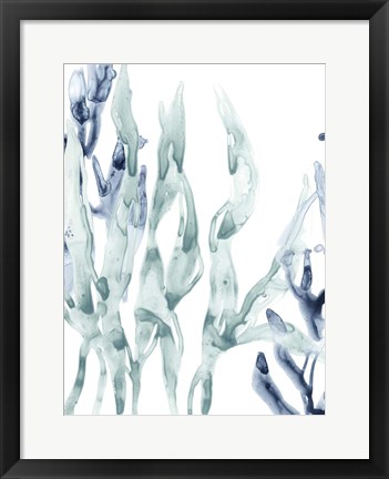 Framed Blue Kelp III Print