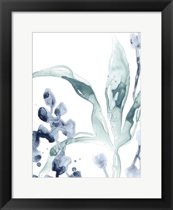 Framed Blue Kelp IV Print