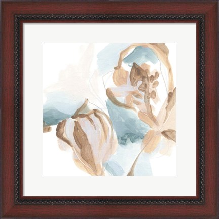Framed Abstracted Shells IV Print