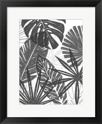 Framed Palm Shadows I Print