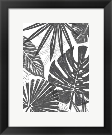 Framed Palm Shadows II Print