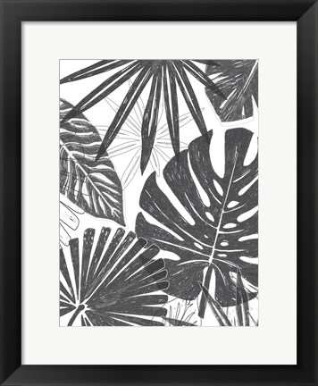 Framed Palm Shadows II Print