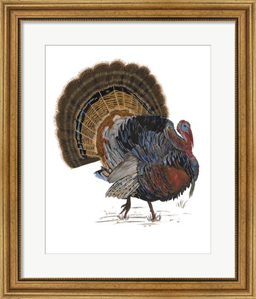 Framed Turkey Study I Print