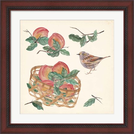 Framed Basket with Fruit II Print