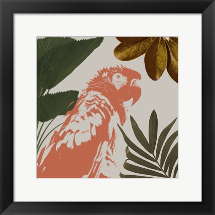 Framed Graphic Tropical Bird I Print