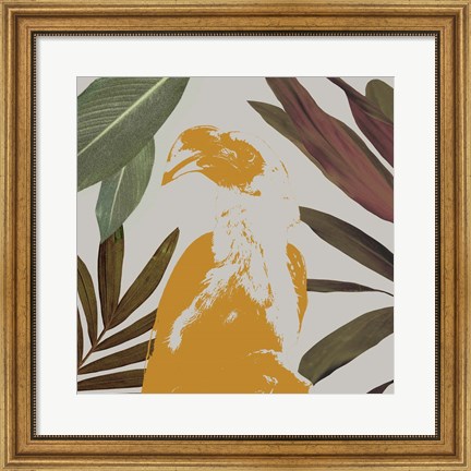 Framed Graphic Tropical Bird II Print