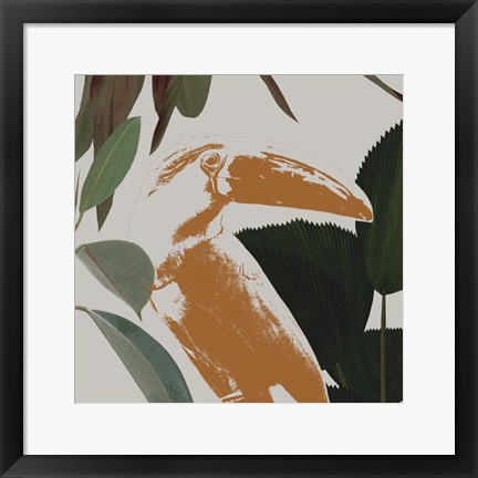 Framed Graphic Tropical Bird III Print