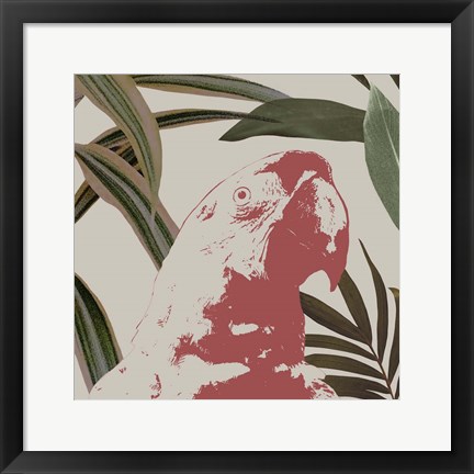 Framed Graphic Tropical Bird IV Print