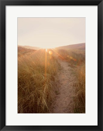 Framed Dunes with Seagulls 4 Print