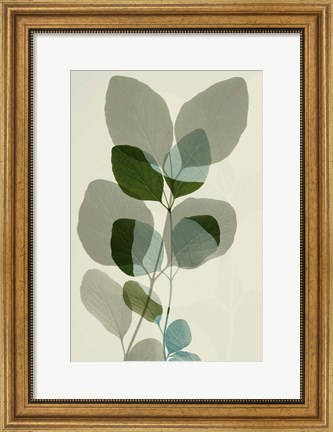 Framed Green Leaves 10 Print