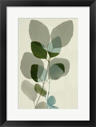 Framed Green Leaves 10 Print