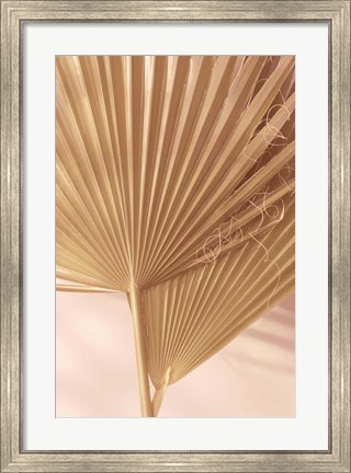 Framed Pastel Fan 1 Print