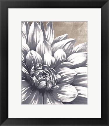 Framed Charming Floral I Print