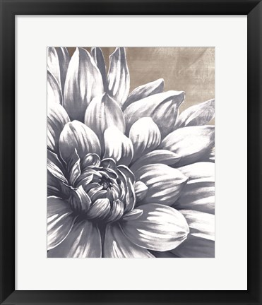 Framed Charming Floral I Print