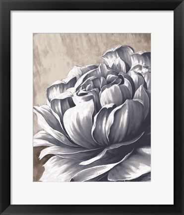 Framed Charming Floral II Print