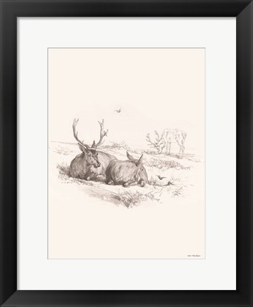 Framed Reindeer Chilling Print