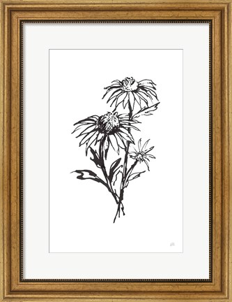 Framed Line Echinacea III Print