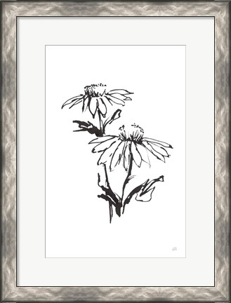 Framed Line Echinacea II Print