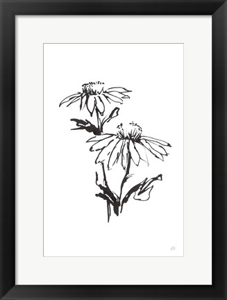 Framed Line Echinacea II Print