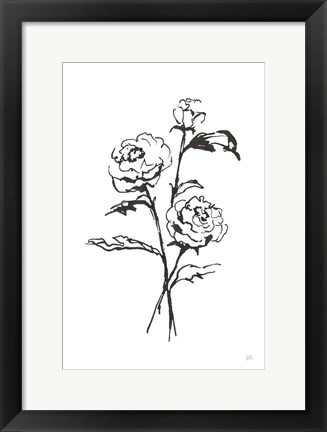 Framed Line Ranunculus I Print