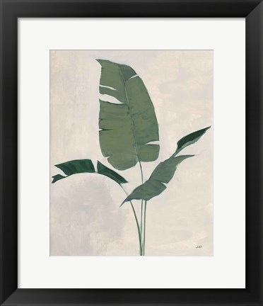 Framed Palm Botanical II Print