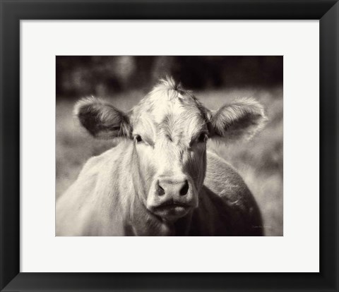 Framed Pasture Cow Print