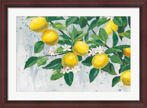 Framed Zesty Lemons Print