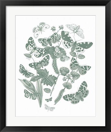 Framed Butterfly Bouquet IV Sage Print