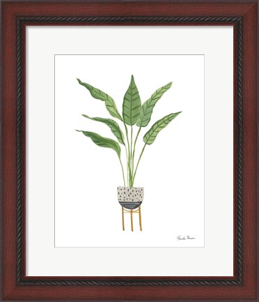 Framed Green House Plants III Print