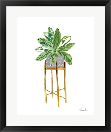 Framed Green House Plants I Print