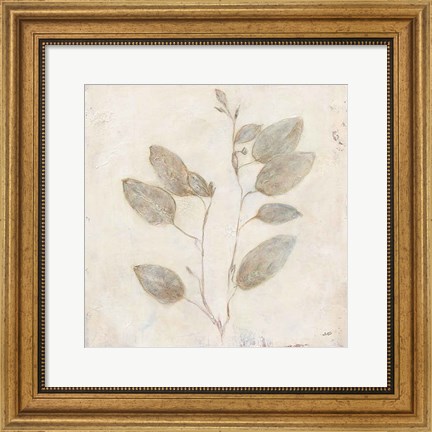 Framed Plantlife II Print