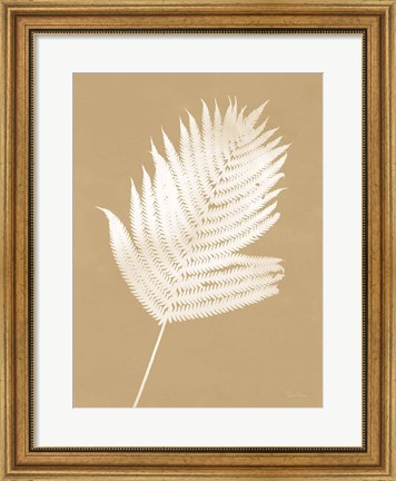 Framed Nature by the Lake Ferns III Brown Print