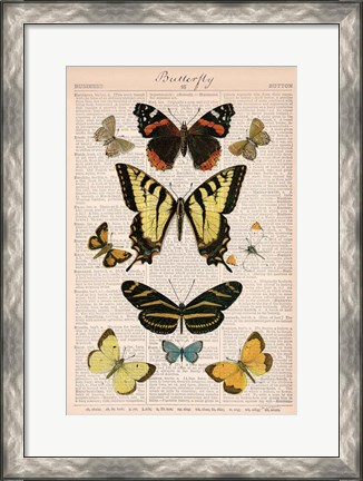 Framed American Butterflies I Print