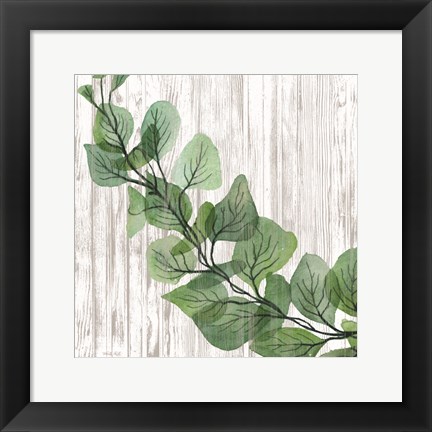 Framed Eucalyptus on White Print