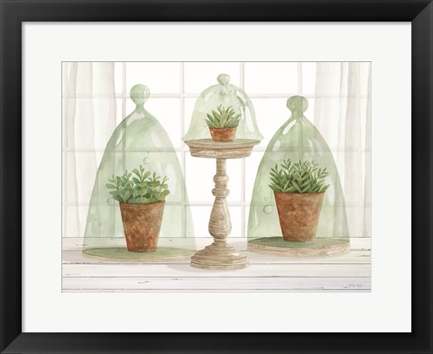 Framed Garden Cloche Trio I Print