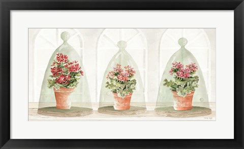 Framed Garden Cloche Trio II Print