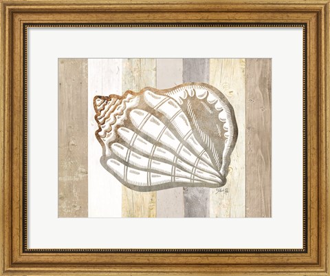 Framed Coastal Shell I Print