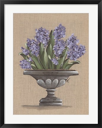 Framed Hyacinth Urn Print