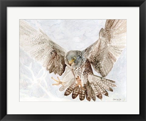 Framed Falcon Print