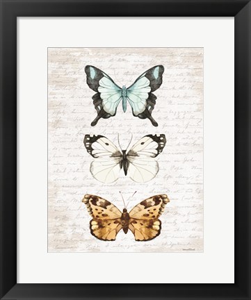 Framed Butterfly Trio Print