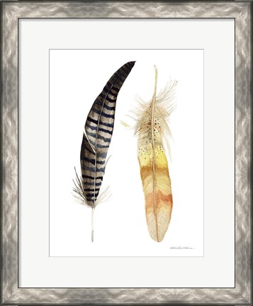 Framed Natural Feathers III Print